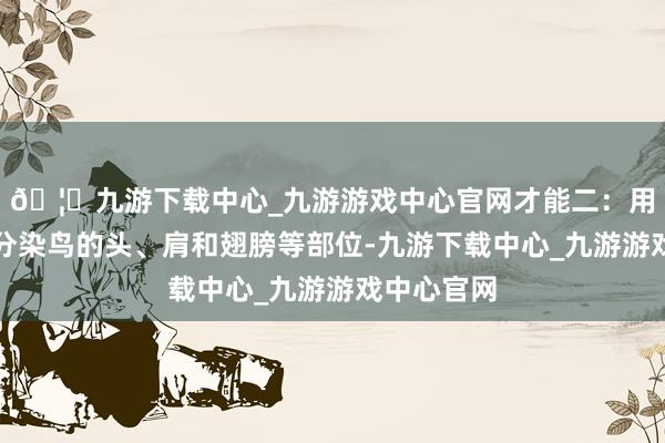 🦄九游下载中心_九游游戏中心官网才能二：用花青加墨分染鸟的头、肩和翅膀等部位-九游下载中心_九游游戏中心官网