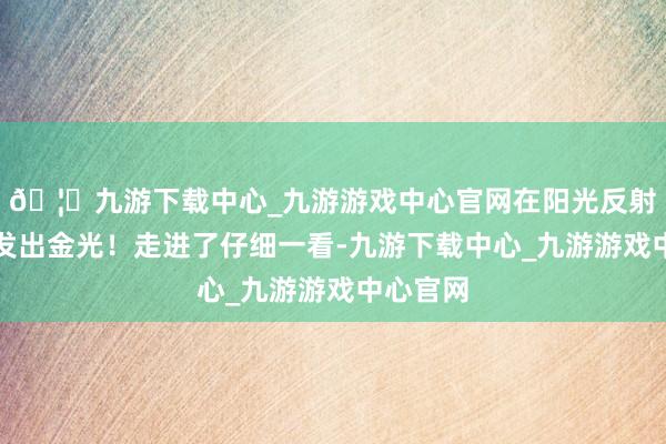 🦄九游下载中心_九游游戏中心官网在阳光反射下闪闪发出金光！走进了仔细一看-九游下载中心_九游游戏中心官网