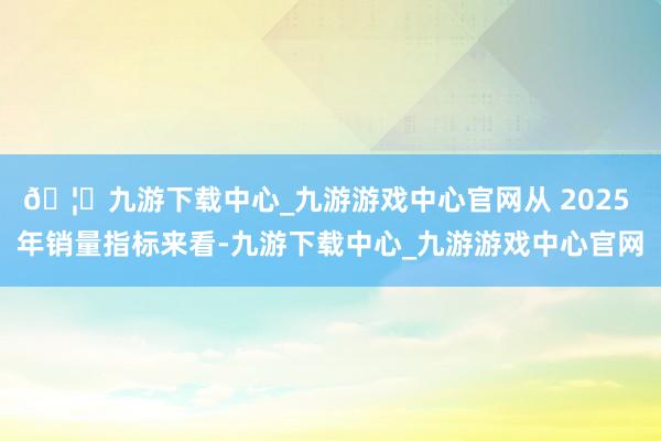 🦄九游下载中心_九游游戏中心官网从 2025 年销量指标来看-九游下载中心_九游游戏中心官网